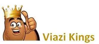 Viazikings Limited logo