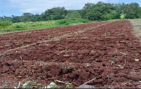 Navigating the 2026 Long Rains