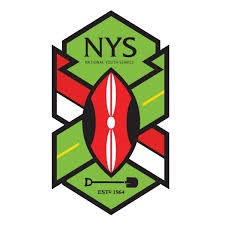 NYS logo