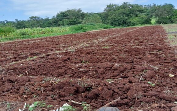 Precision Cultivation.